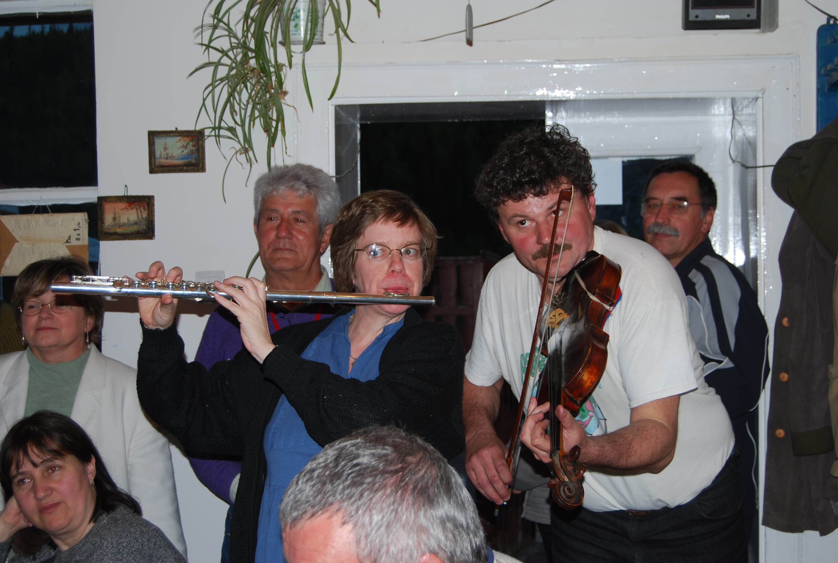 Muzikanten in Roemeni&euml;